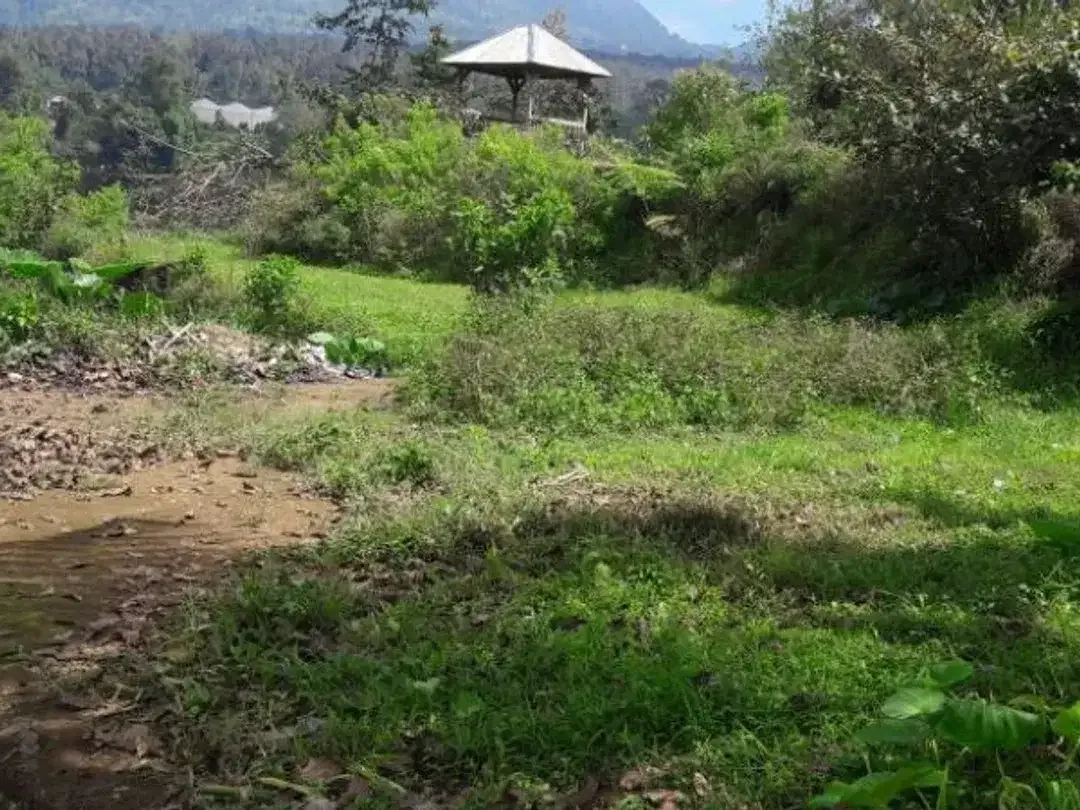 TANAH COCOK UNTUK KEBUN VILLA LOKASI BAGUS DI BEDUGUL TABANAN - Image 2 of 4