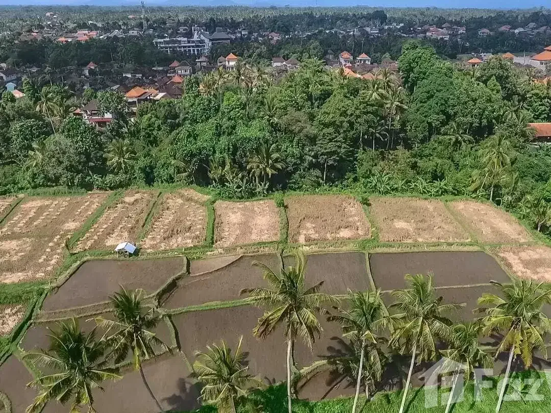 Land for sale in Ubud, Bali - Image 5 of 10