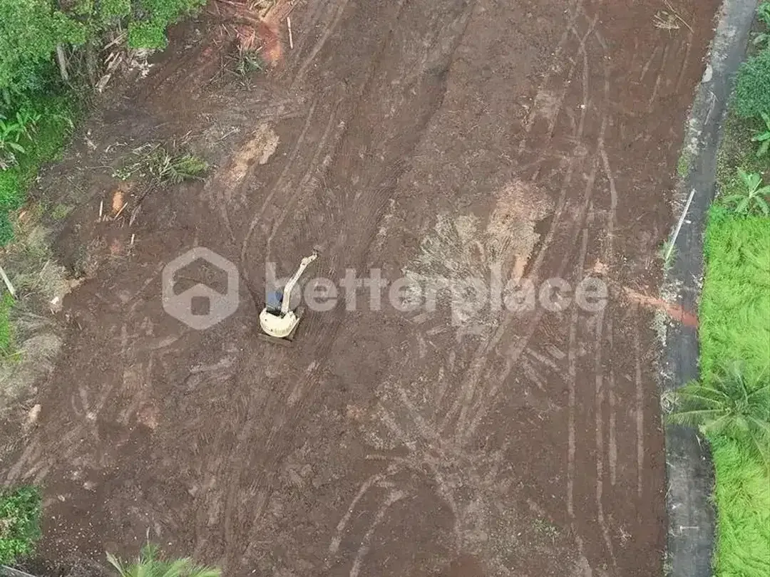 Build Your Dream Tropical Sanctuary in Ubud – Lodtunduh | Premium Freehold Land with Captivating Rice Field Views Only 10 Minutes from Central Ubud - Image 7 of 9