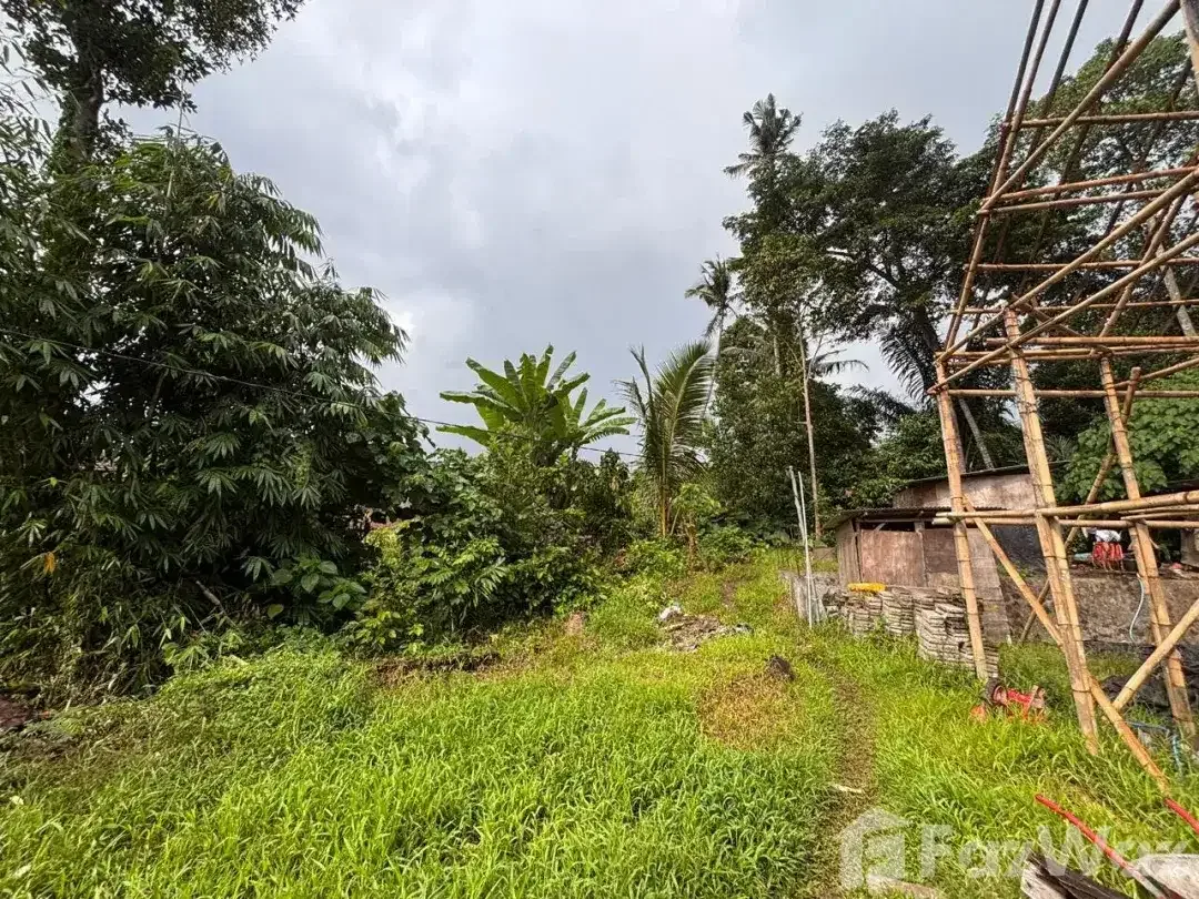 Land for sale in Sayan, Bali - Image 5 of 5