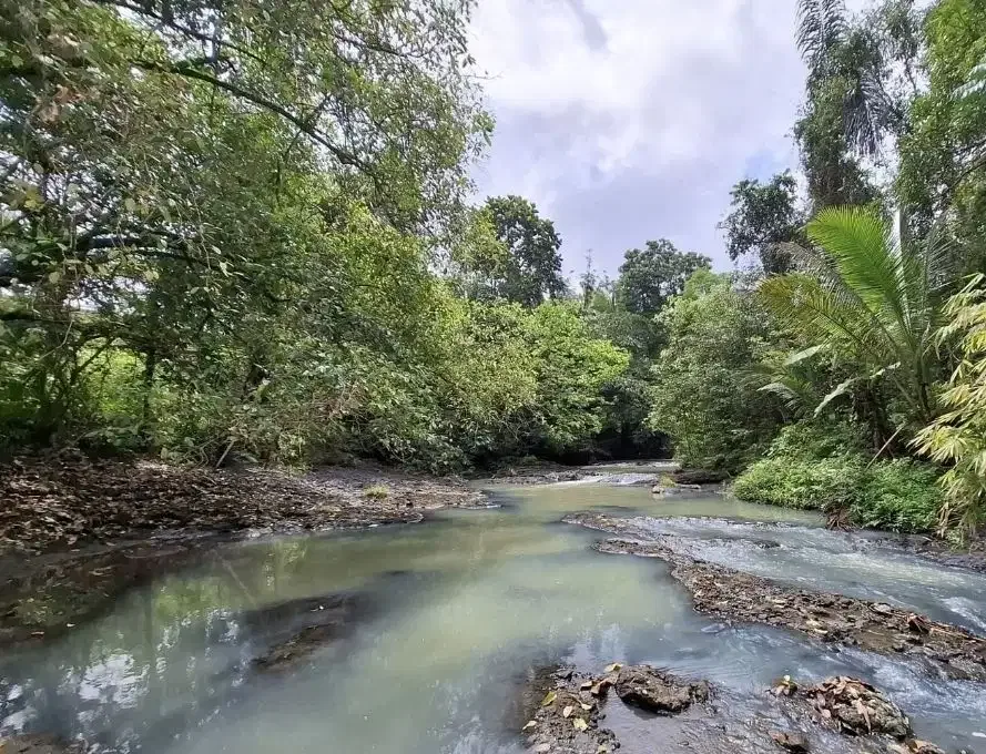 Tanah kebun view sungai sangat murah di tabanan - Image 1 of 7