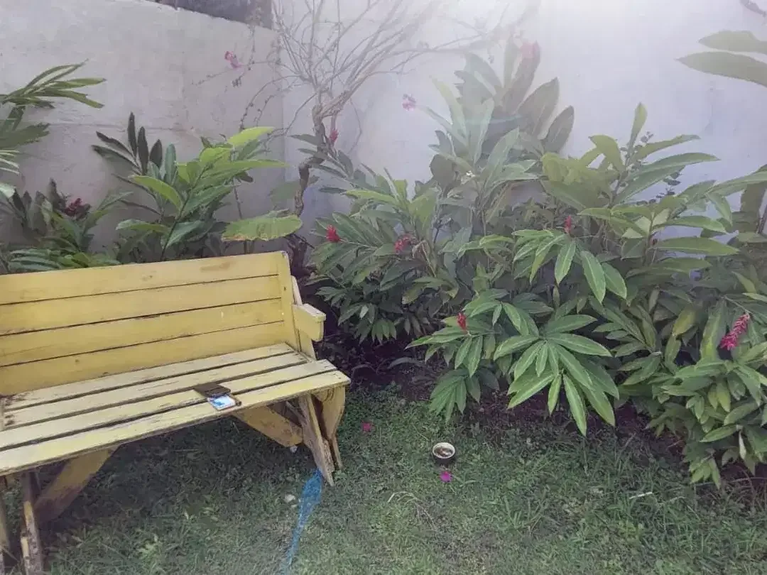 Freehold - Villa in canggu with big garden in Seseh, Canggu - Image 7 of 10