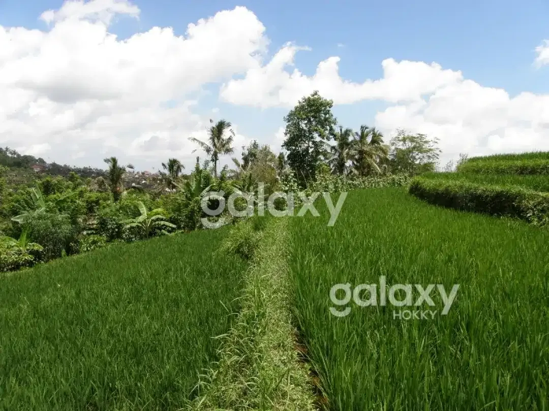 DIJUAL TANAH BR PAKA SANDA PUPUAN TABANAN, BALI - Image 2 of 6