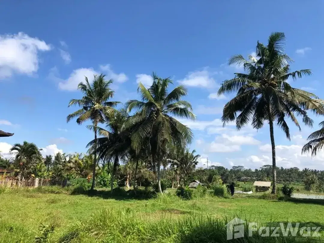 Land for sale in Ubud, Bali - Image 3 of 5