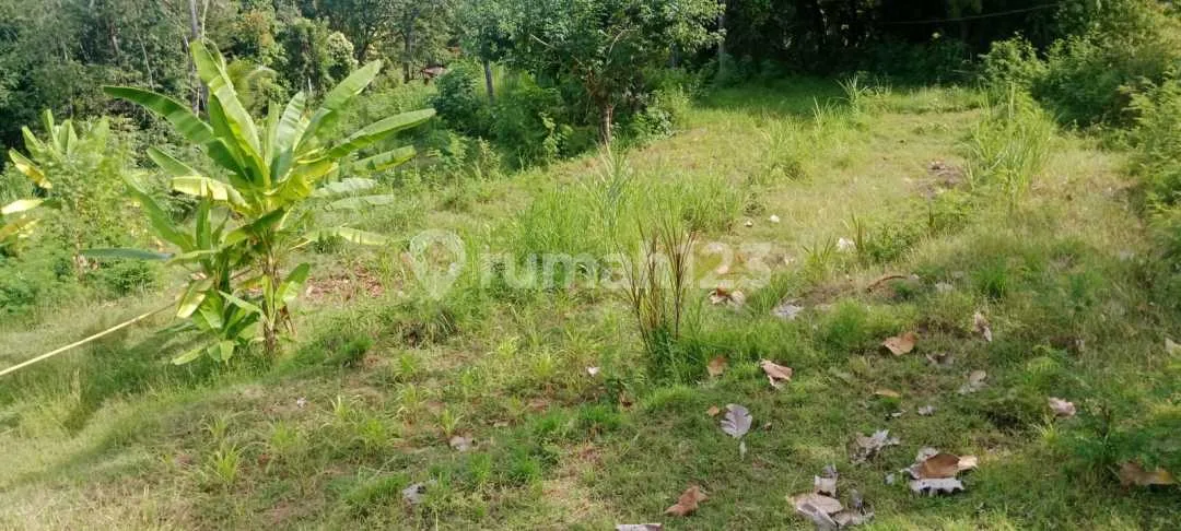 For Sale 20 Are Land With Beautiful View To The Ocean - Image 4 of 4