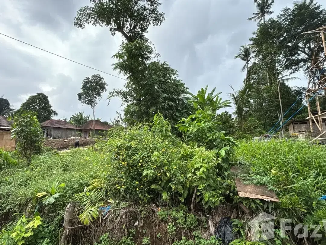 Land for sale in Sayan, Bali - Image 2 of 5