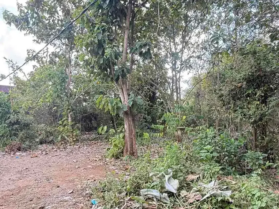 DIJUAL TANAH 2 MENIT KE KAMPUS UNUD JIMBARAN – COCOK UNTUK KOS & GUESTHOUSE - Image 3 of 10