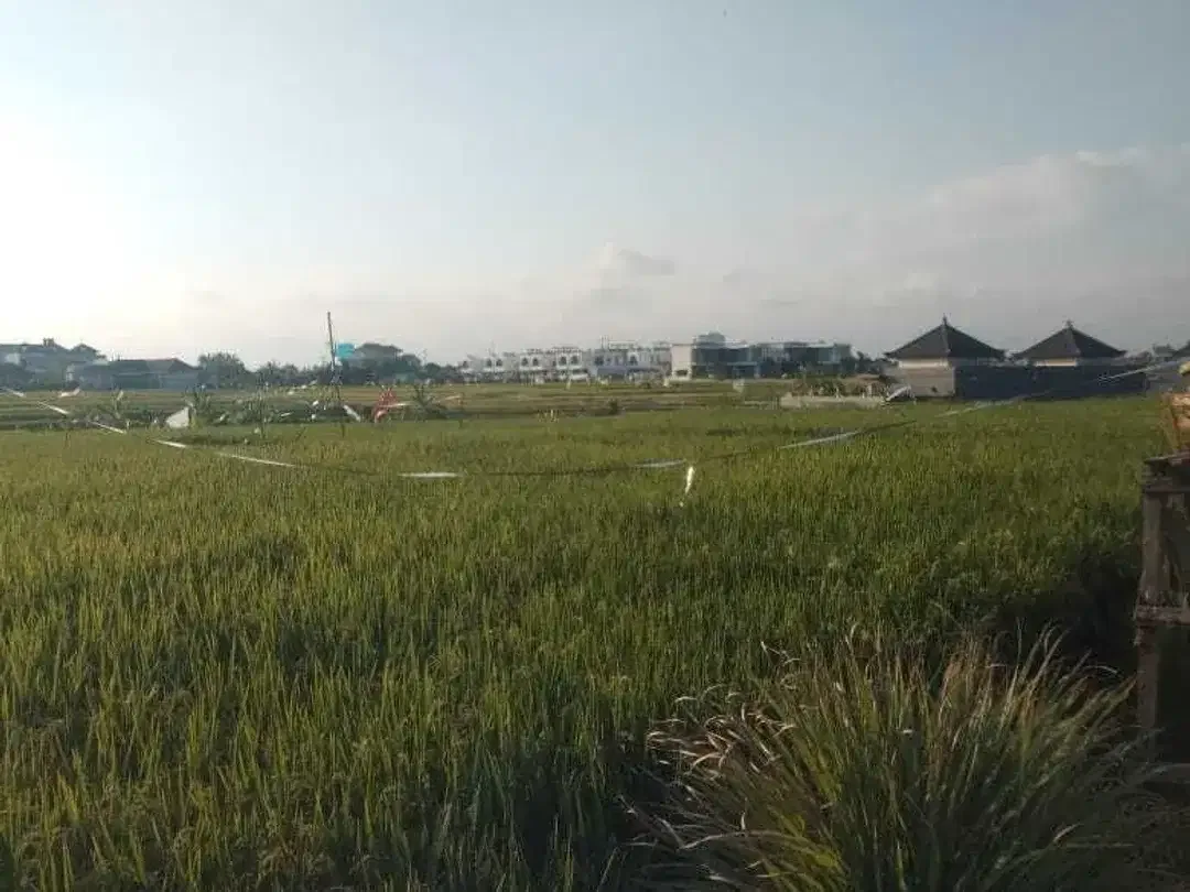 Land for sale in Seseh, Bali - Image 2 of 5