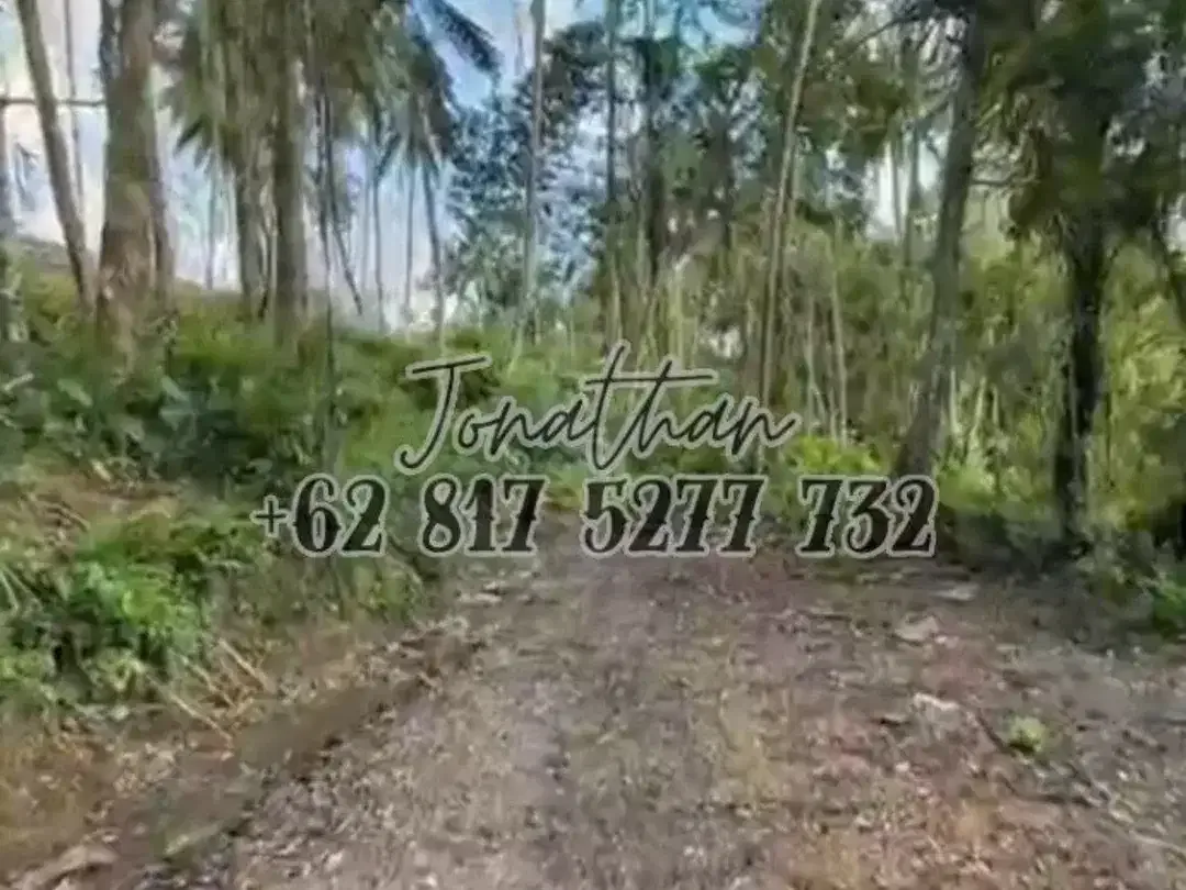Dijual Tanah Riverside Premium Keliki Ubud Bali Dekat Capella Ubud - Image 6 of 6