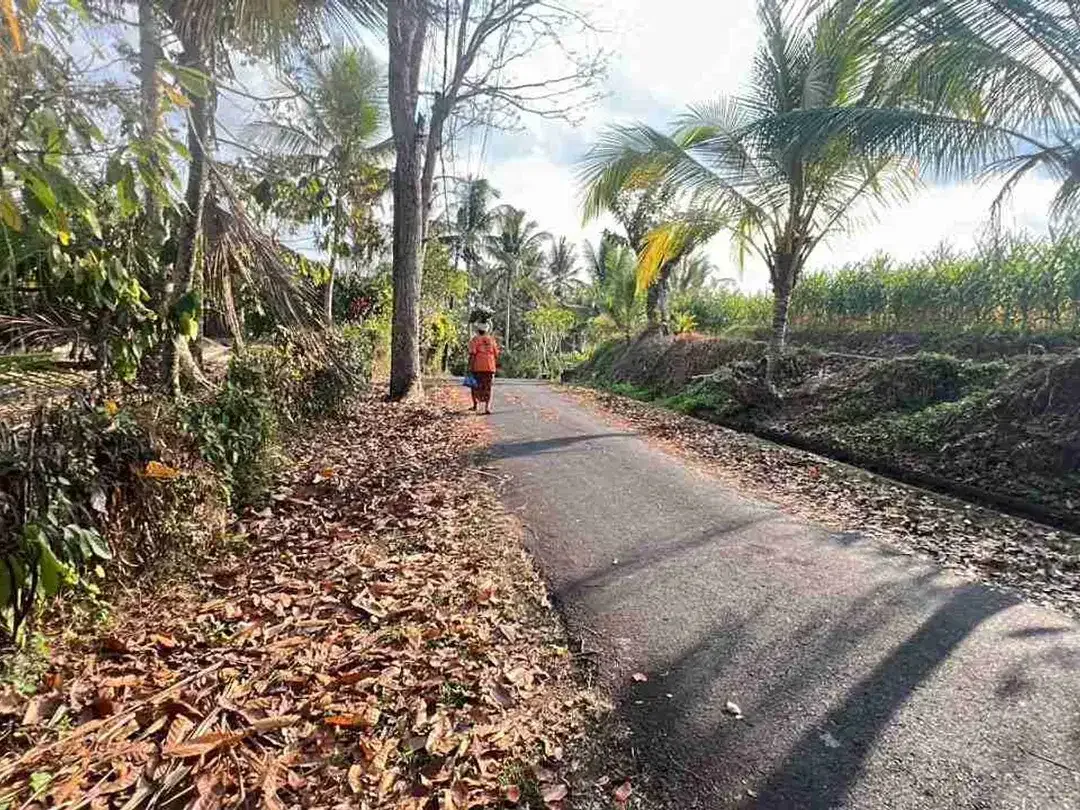 jual tanah kebun view bagus fi tabanan bali. - Image 3 of 10