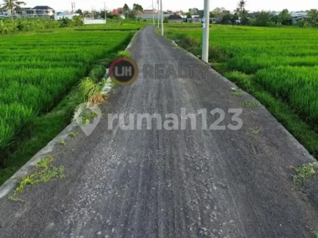 Dijual Tanah Munggu Badung Bali Dekat Pantai Munggu - Image 5 of 5