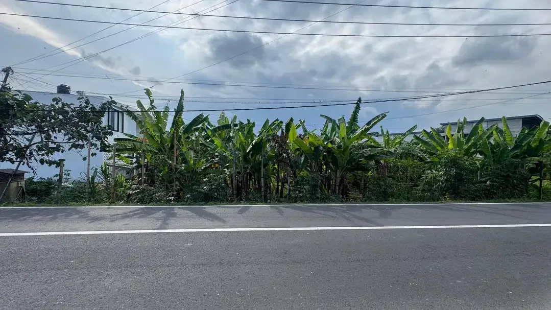 tanah murah di jalan utama tumbak bayuh canggu, lokasi strategis - Image 4 of 7