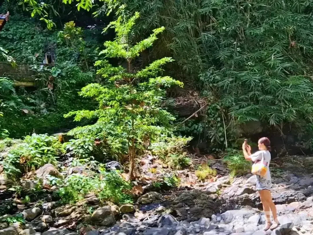 Land for sale in Kaba Kaba, Bali - Image 1 of 8