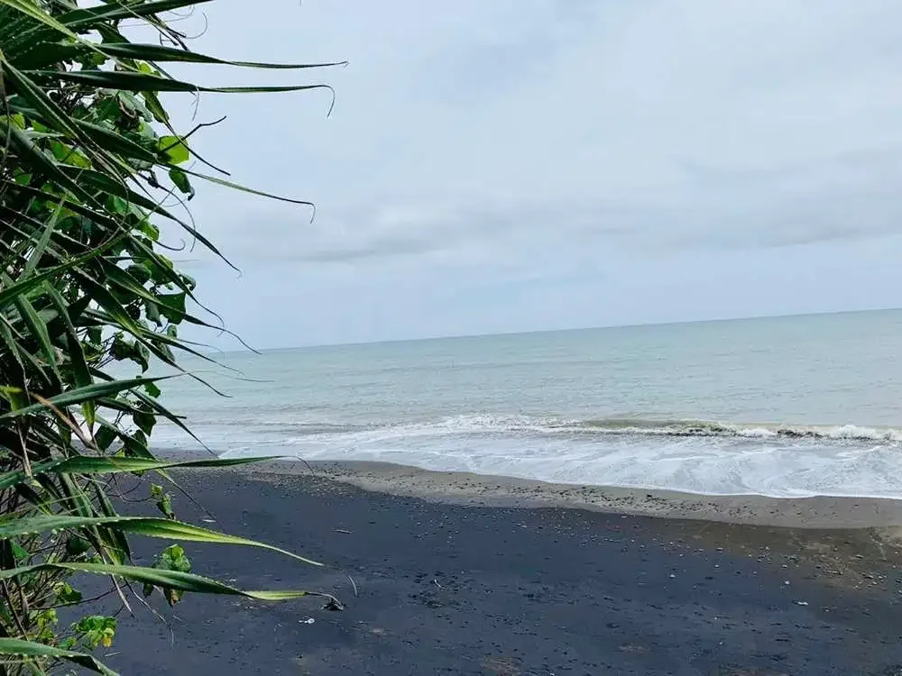TANAH STRATEGIS PINGGIR PANTAI NYANYI - Image 4 of 10
