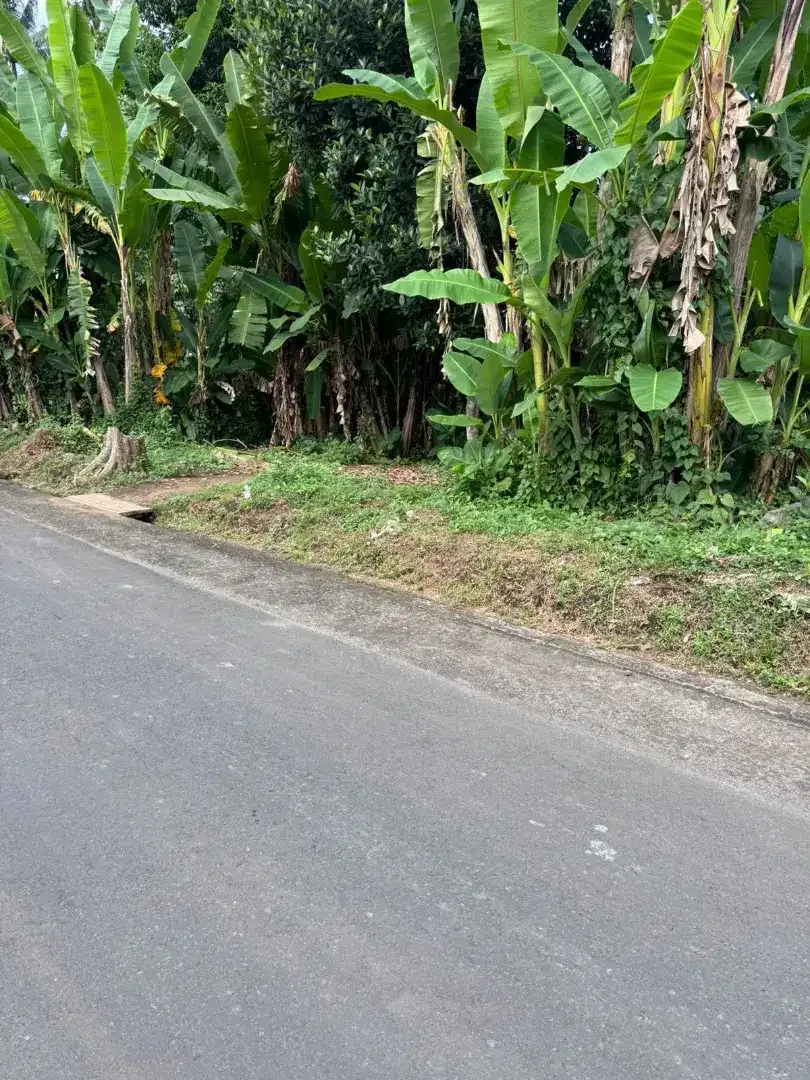 35mnit to canggu pererenan - Image 5 of 5