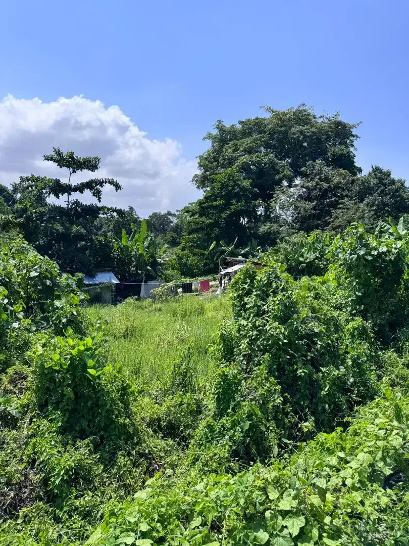 18 mnit to Canggu , Nyanyi Beach close nuany city - Image 1 of 6