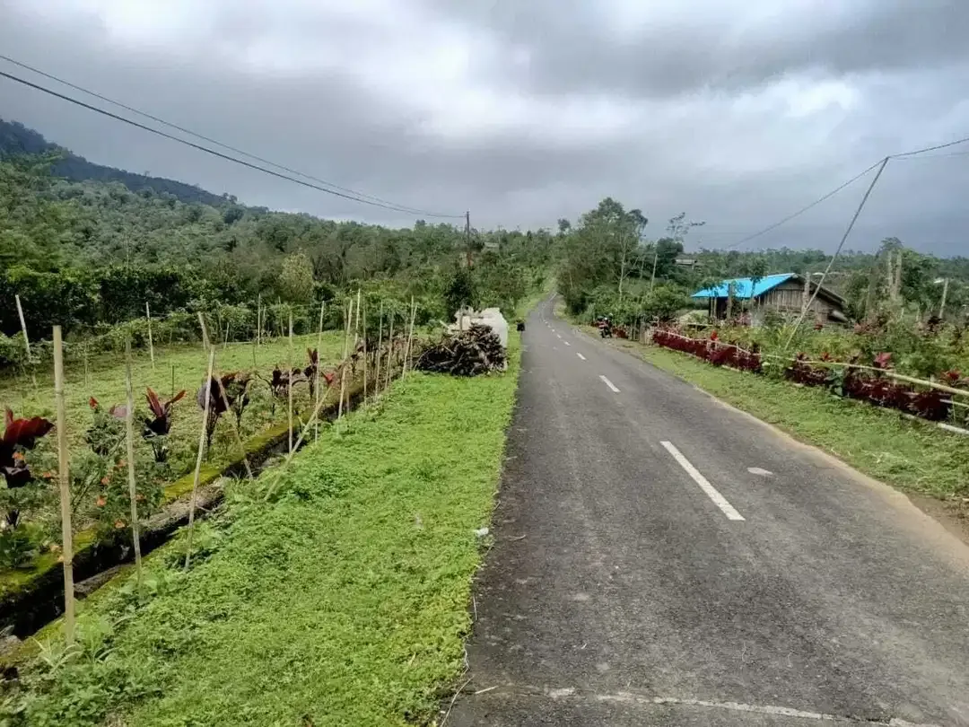 Dijual Tanah BUC Pinggir Jalan Utama Kintamani Barat - Image 2 of 4