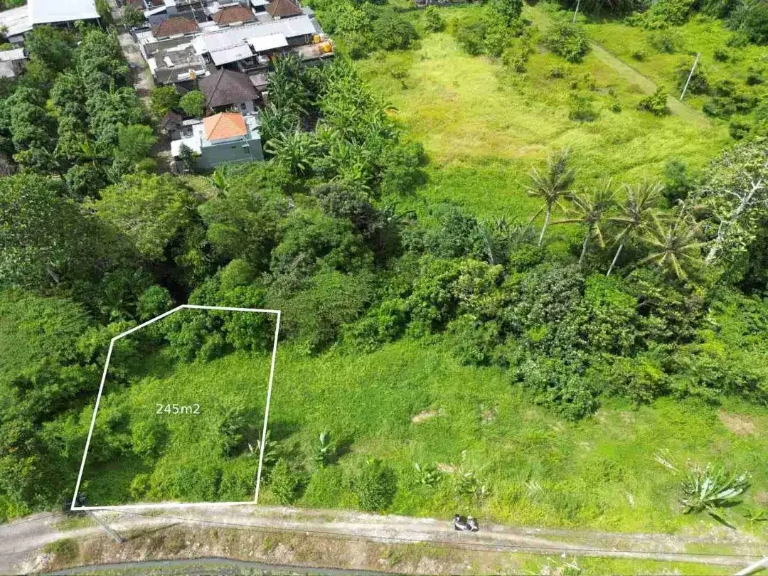 TANAH DIJUAL CEPAT LOKASI KEDUNGU NYITDAH - BALI - Image 4 of 4