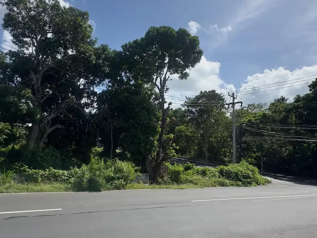 Dijual Tanah Komersial Jl Raya Kampus Udayana Jimbaran - Image 1 of 10