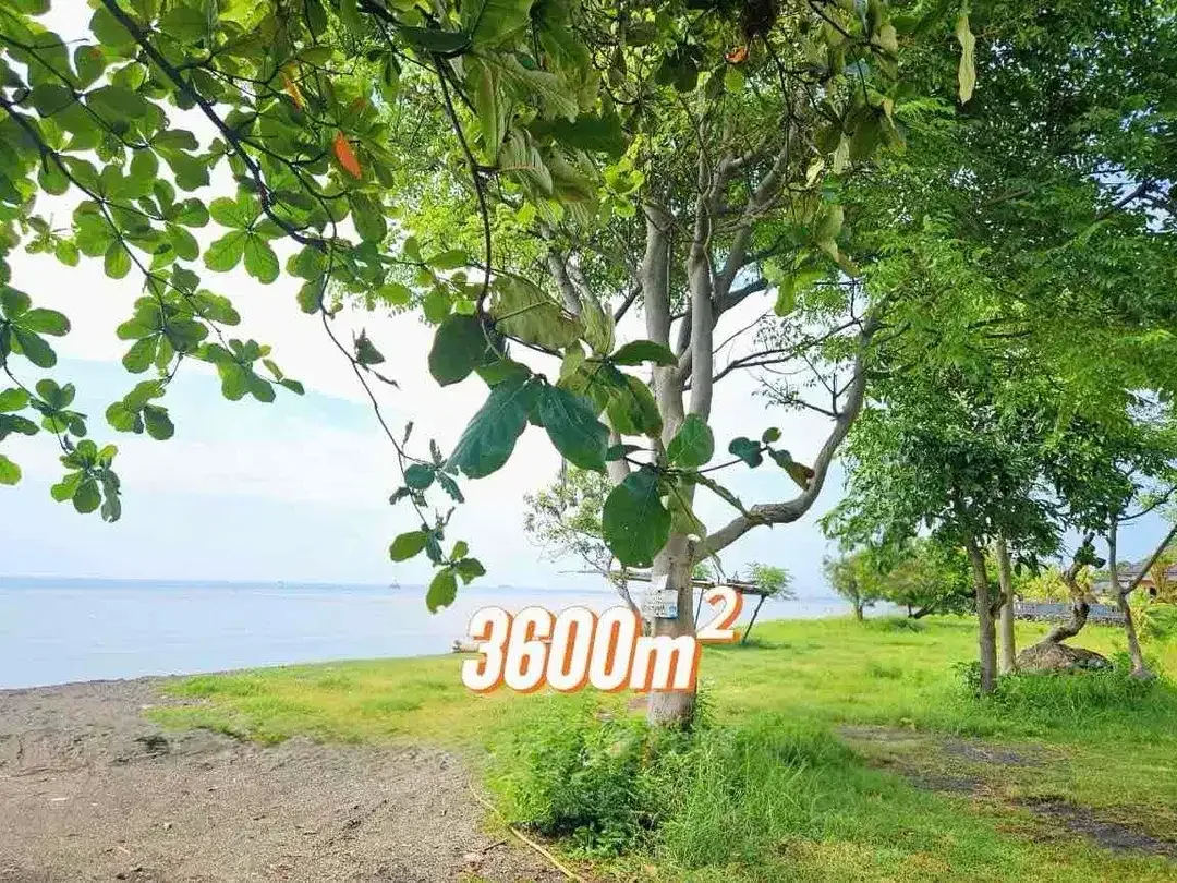 FOR SALE LAND 36 M2 BEACHFRONT LOVINA, BALI - Image 7 of 9