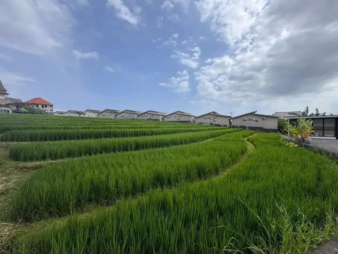 Freehold Plot For Sale in Padonan Canggu - Image 5 of 10
