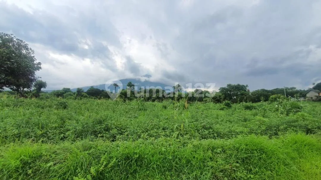 Dijual Tanah Karang Asem Tulamben Bali Dekat Dengan Spot Diving - Image 2 of 4