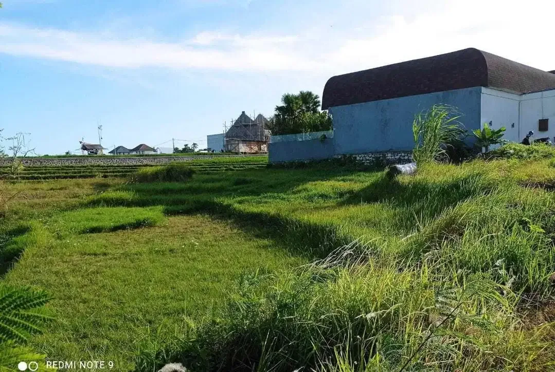 Tanah View Sawah Terasering Dekat Pantai Berawa Canggu - Image 1 of 10
