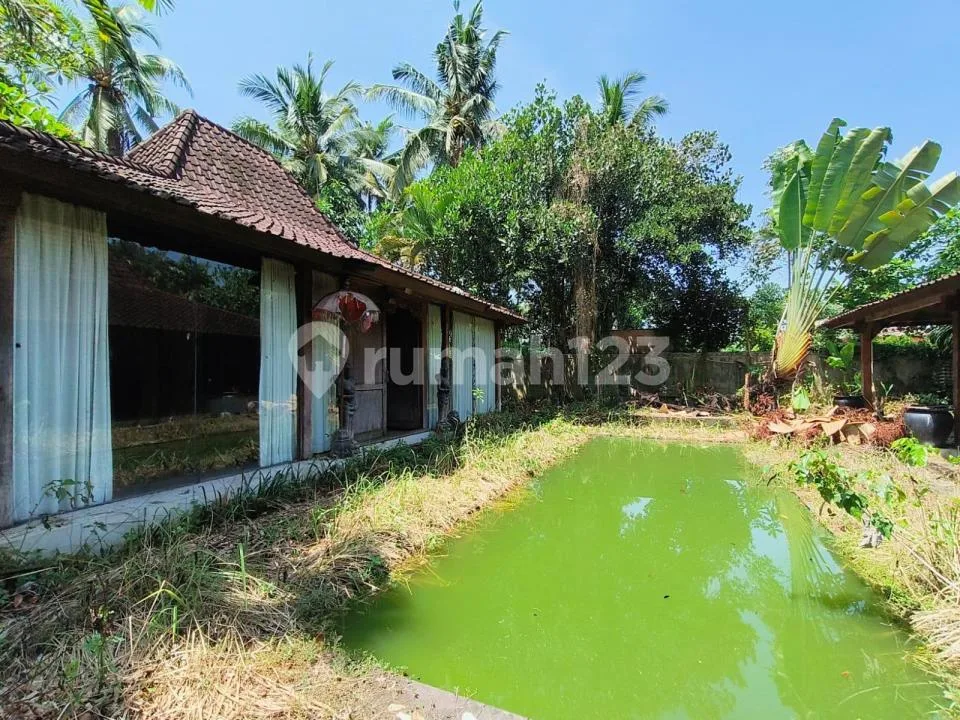 Dijual Villa di Lodtunduh Dijual Hitung Tanah Saja - Image 3 of 3