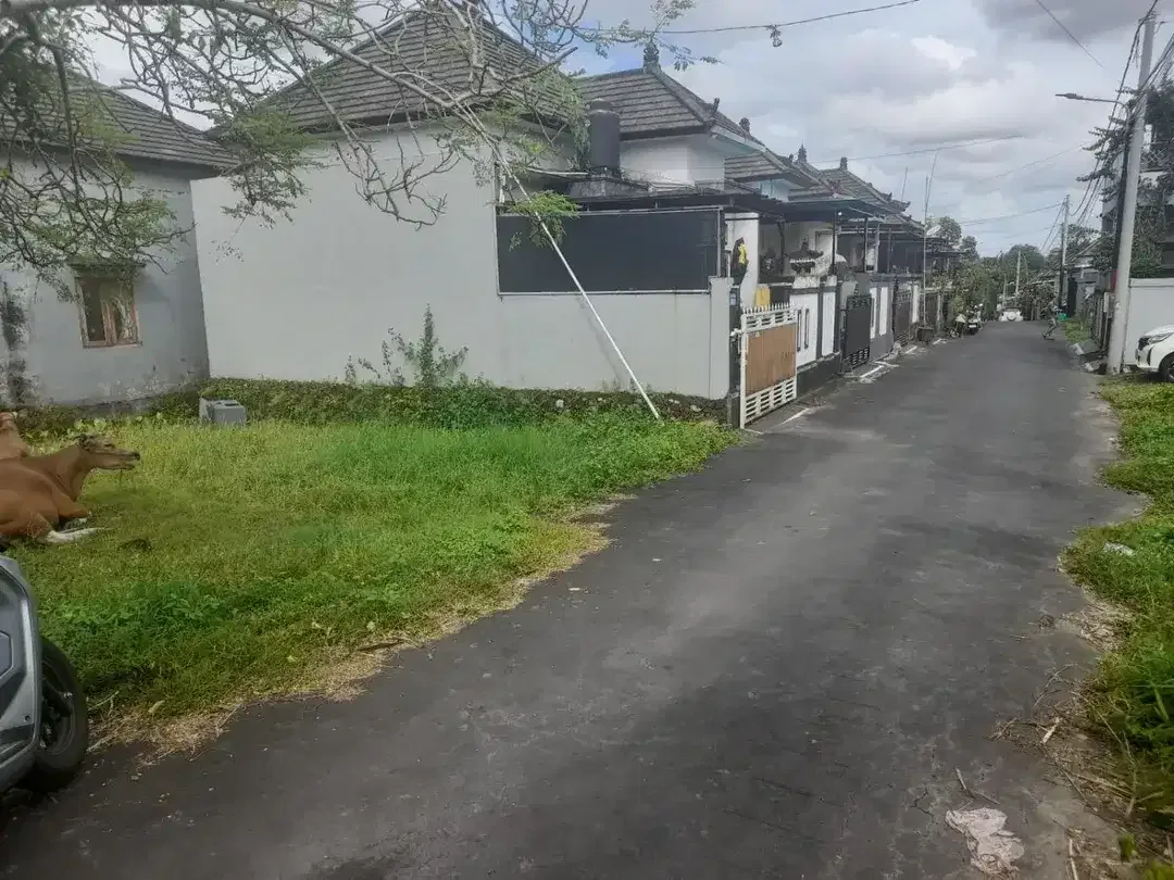 TANAH KOSONG DI SEMPIDI MENGWI DEKAT TAMAN PUSPEM BADUNG - Image 4 of 6