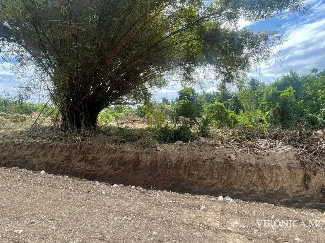TANAH GLOBAL DIJUAL CEPAT – SABA, GIANYAR. - Image 3 of 3