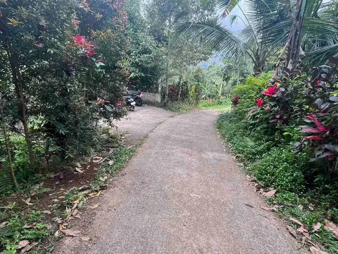 jual tanah Luas kecil ketinggian 550 MDPL di tabanan bali. - Image 4 of 10