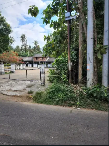 Disewakan tanah murah 4 hektar di Gianyar - Image 3 of 10