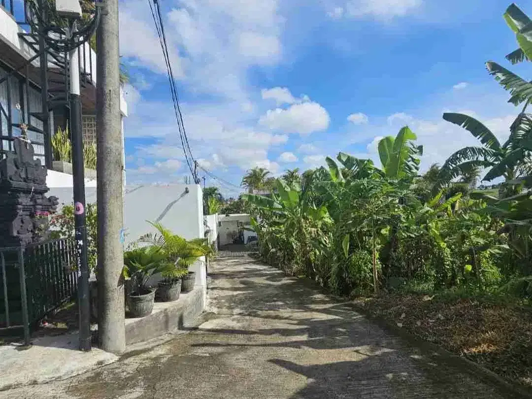 Tanah tumbak bayuh Canggu bali - Image 4 of 6