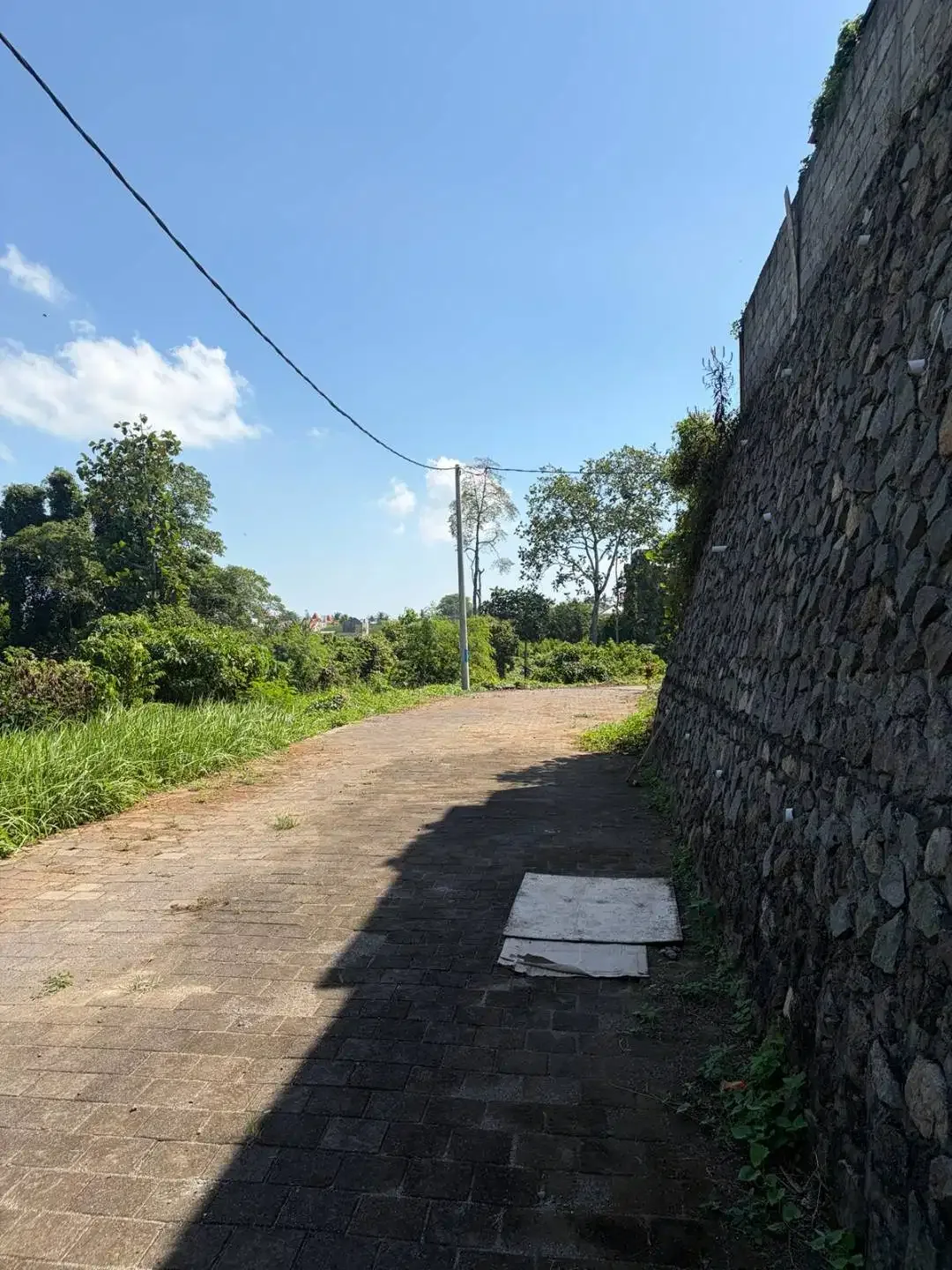 Dijual tanah di Kedungu BALI  6.16 are - Zona Kuning View Sawah - Image 3 of 6