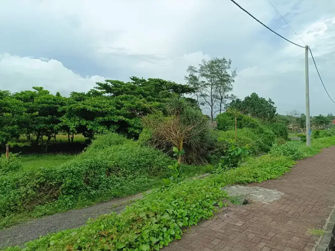Di Jual Tanah area pantai sanur Bali - Image 5 of 10