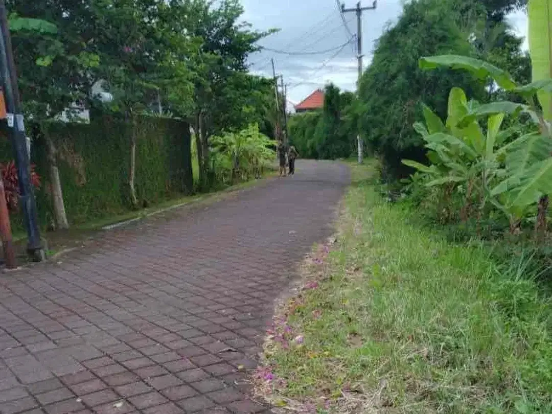SALE Tanah 50 Are Sempol Pererenan, SHM dan Siap Bangun - Image 6 of 8