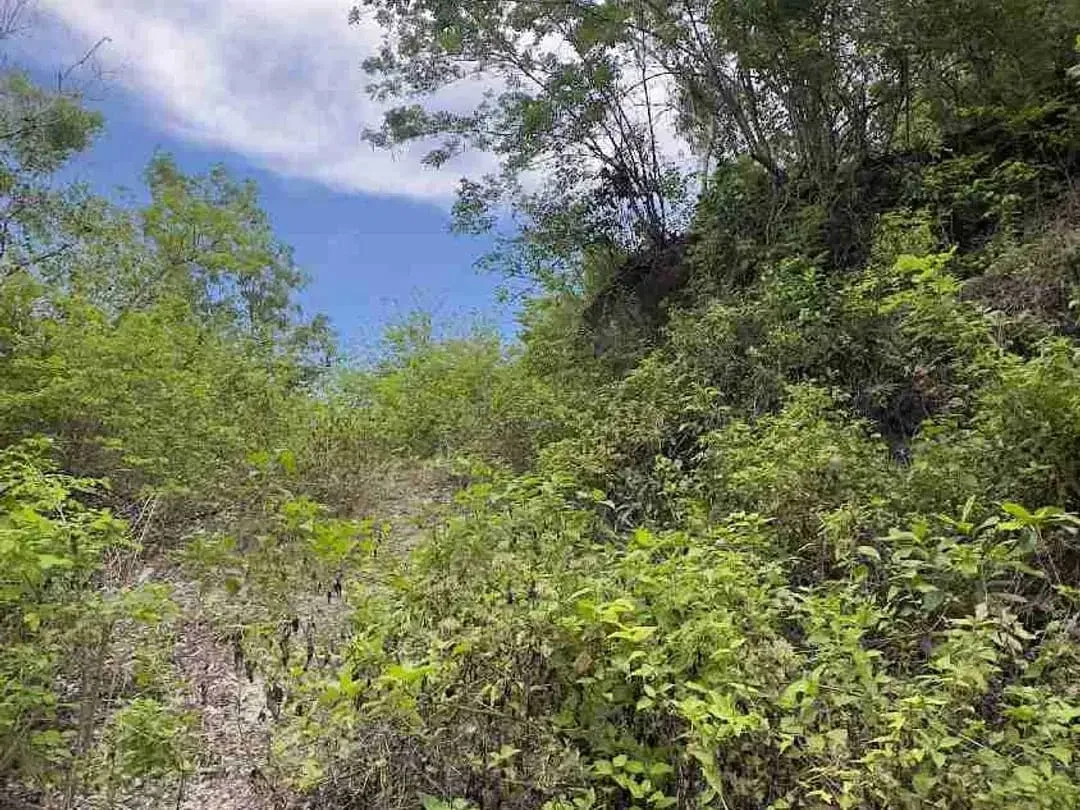Dijual Tanah 500m2 Ocean View Di Labuan Sait Uluwatu - Image 8 of 10