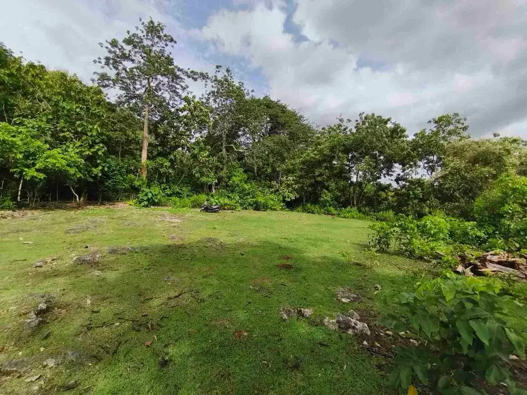dijual tanah 1430m² IDR 750 juta per are kawasan pantai balangan jimbaran - Image 9 of 10