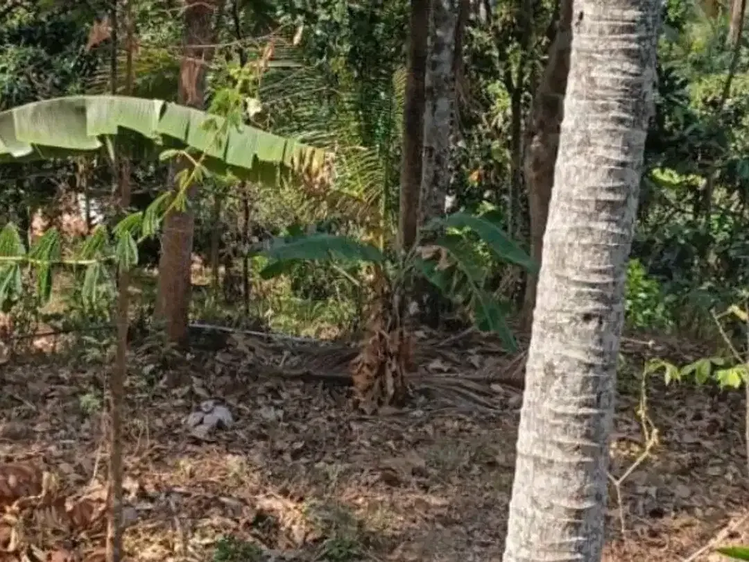 TANAH DI KUBUTAMBAHAN BULELENG - Image 1 of 6