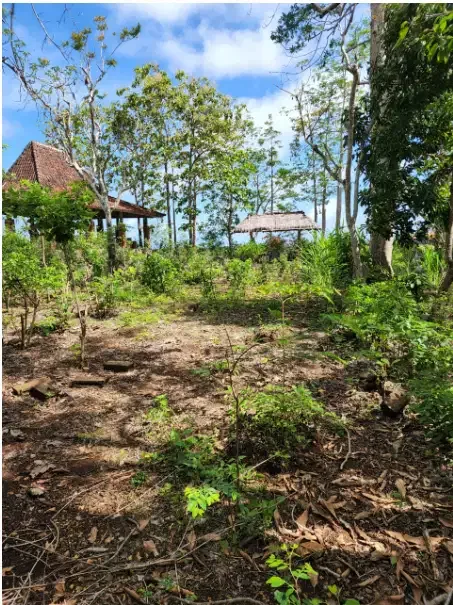 Tanah Murah 1 Hektar Dekat Pantai Ungasan - Image 6 of 10