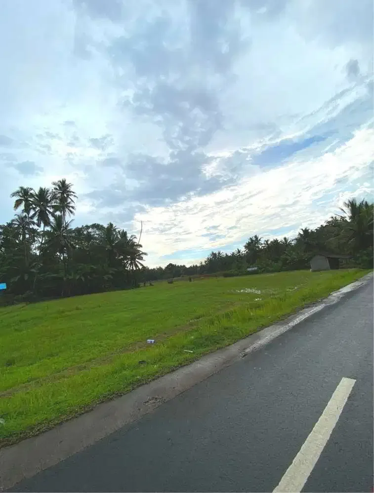DIJUAL TANAH SAWAH LOS SUNGAI TABANAN - Image 5 of 9