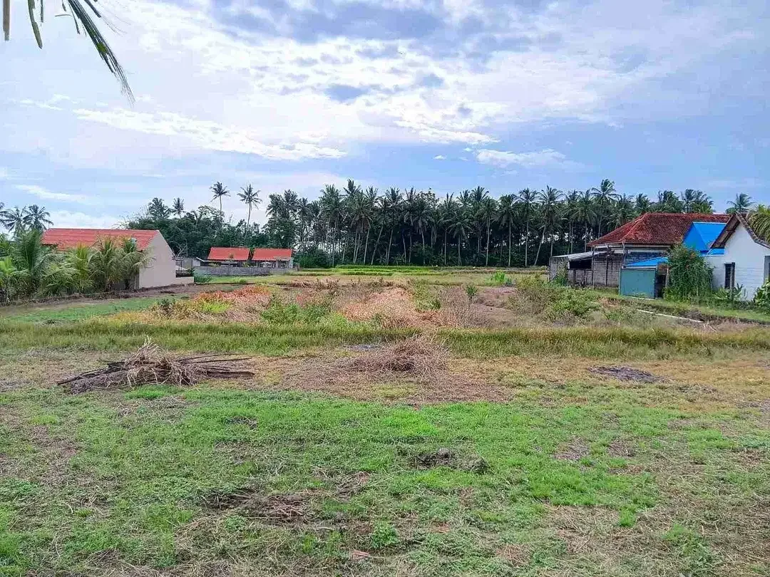 Tanah View sawah kemenuh Ubud - Image 3 of 7