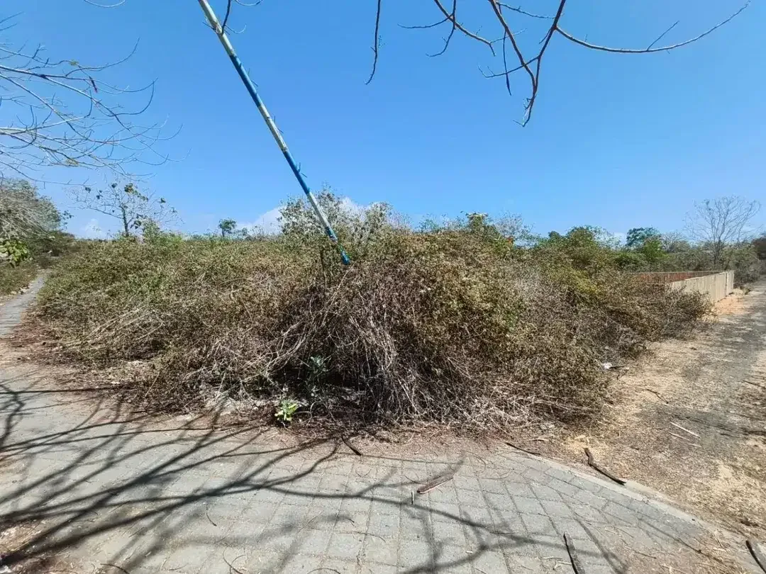 Tanah Jual Jl. Karang Biru, Sawangan, Nusa Dua - Image 3 of 10
