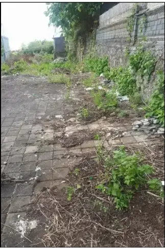 DIJUAL TANAH 32 ARE DI BALANGAN UNGASAN KUTA SELATAN BALI - Image 4 of 9