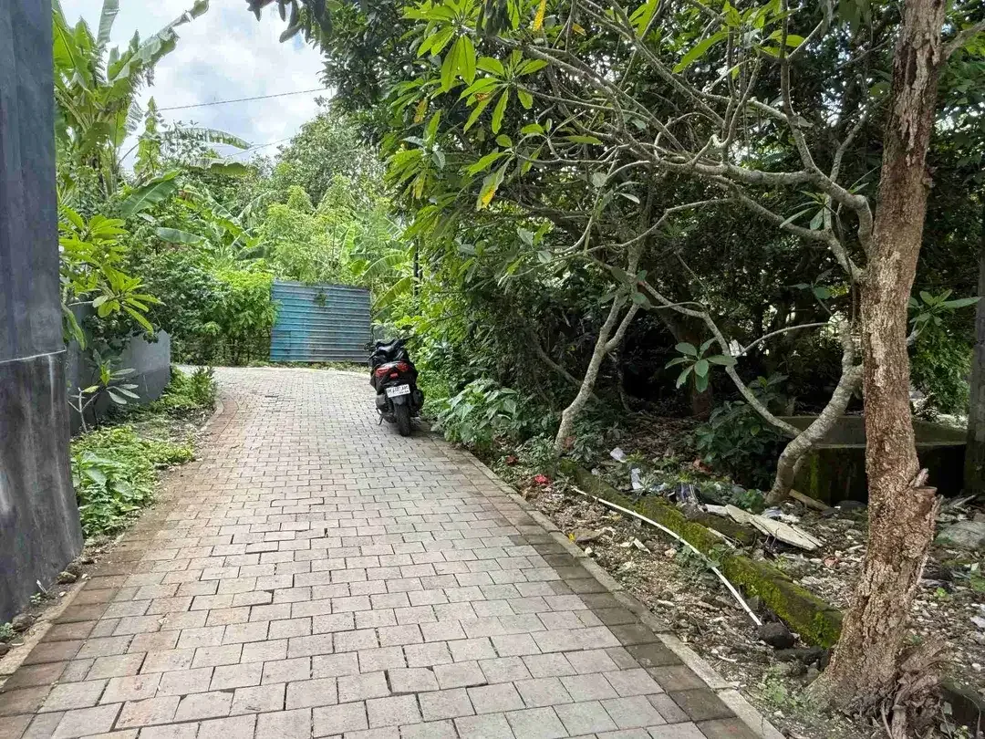 Tanah 500m² Dekat Kampus Udayana Jimbaran - Image 10 of 10