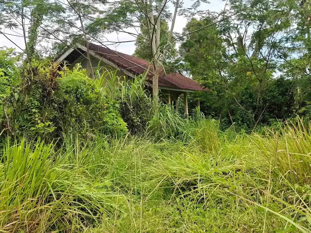 tanah view sawah dan gunung akses jalan aspal didaerah wisata angsri - Image 8 of 10