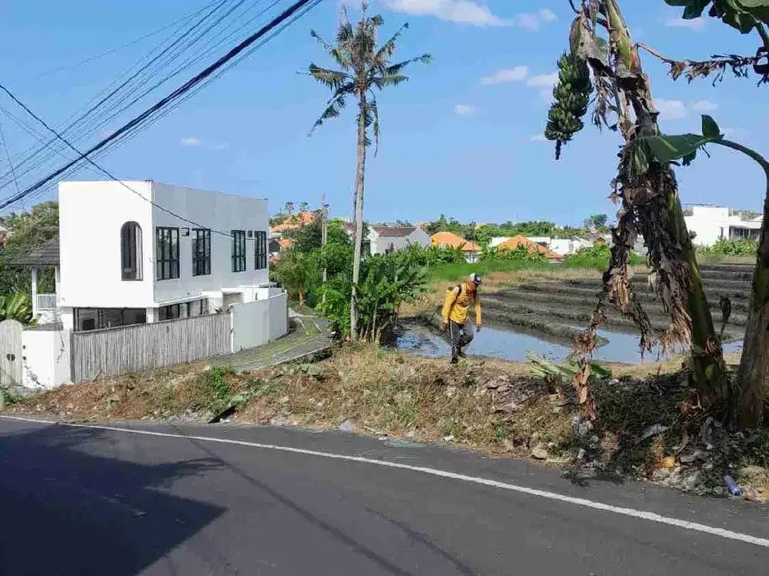 Tanah View Sawah Kayu Tulang Canggu Kuta Utara - Image 9 of 10