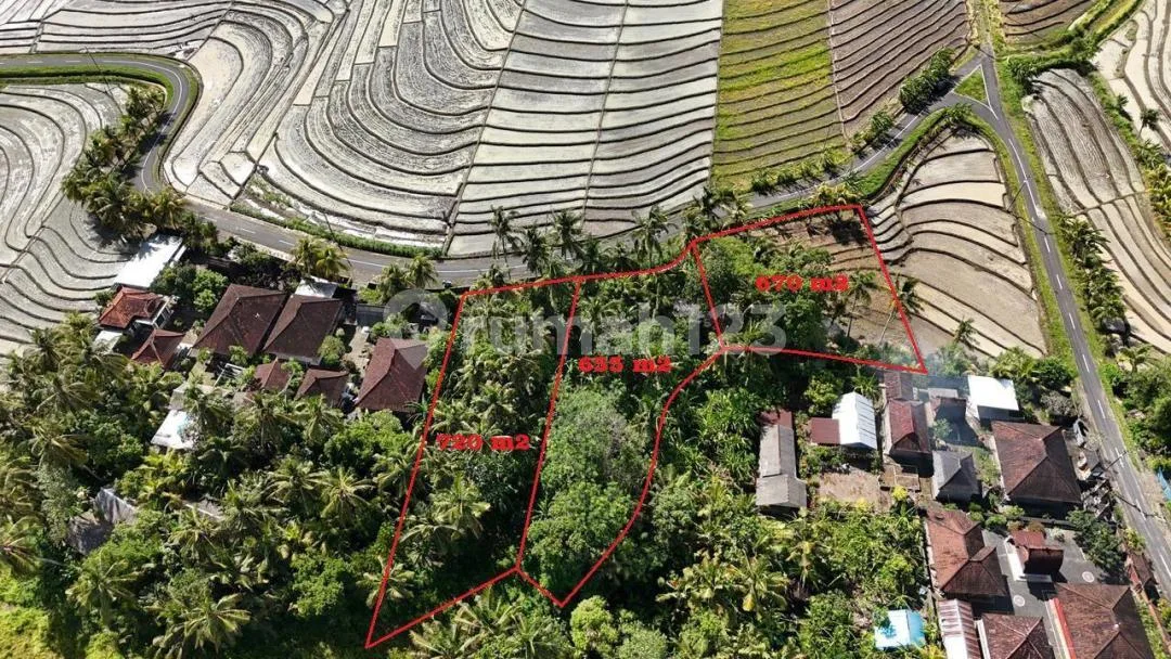 Tanah Murah Dekat Pantai Pasir Tabanan 2045 M2 Hrg Idr 1,5 Jt/M2 - Image 2 of 4