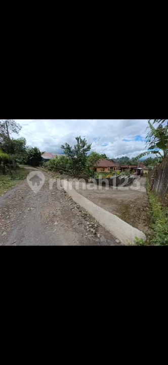 Dijual Tanah Datar dan Murah Diarea Strategis Hanya 5 Menit ke Pasar Tabanan Bali - Image 3 of 4