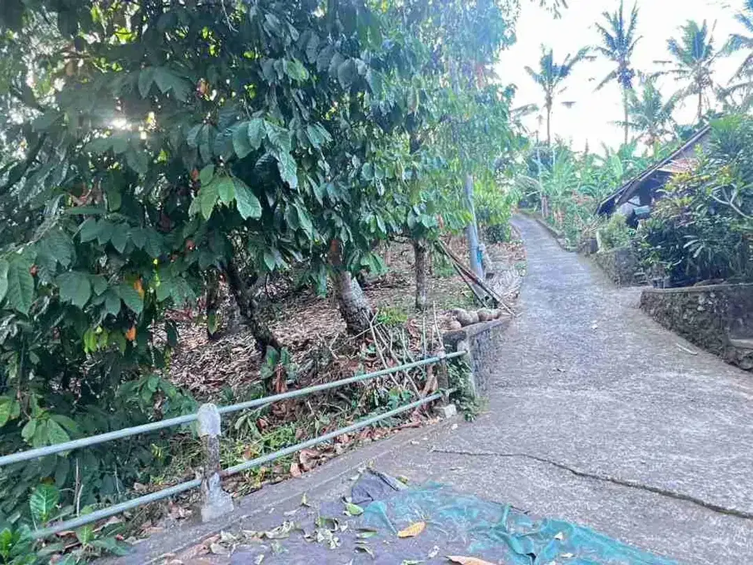 jual tanah kebun view bagus fi tabanan bali. - Image 7 of 10